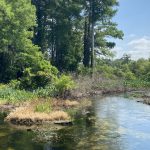 PAge-banner-howell-branch-preserve-project-1600x768